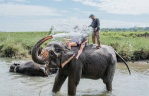 03 Days – Chitwan National Park Tour